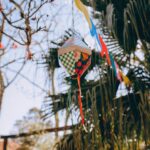 aumento-acidentes-estradas-festa-junina